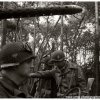 mg 442